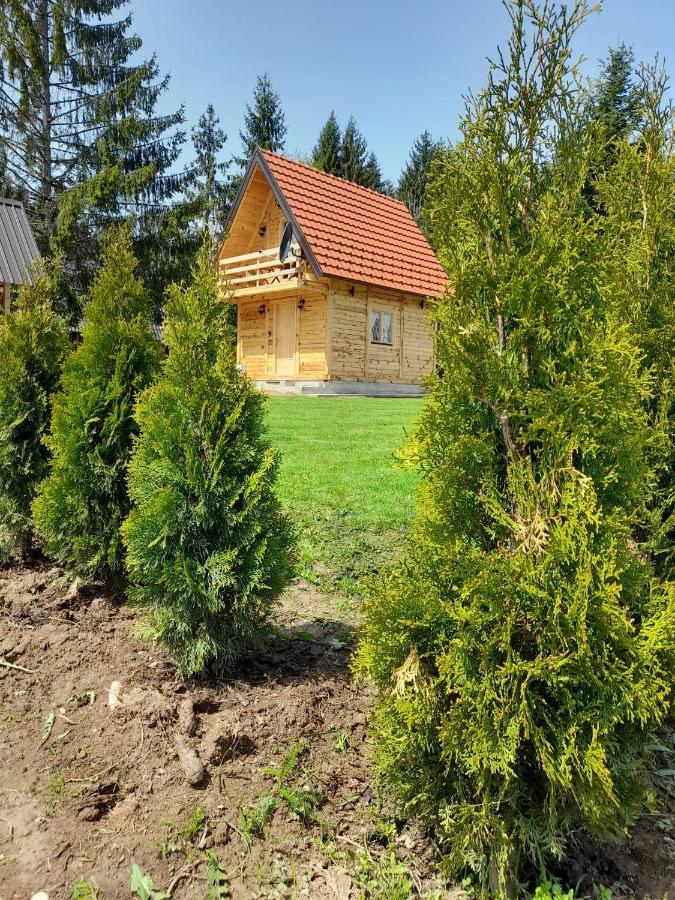 Willa Tisina Tare Bajina Basta Zewnętrze zdjęcie